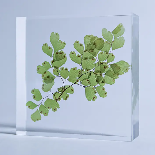 Sola Tiles