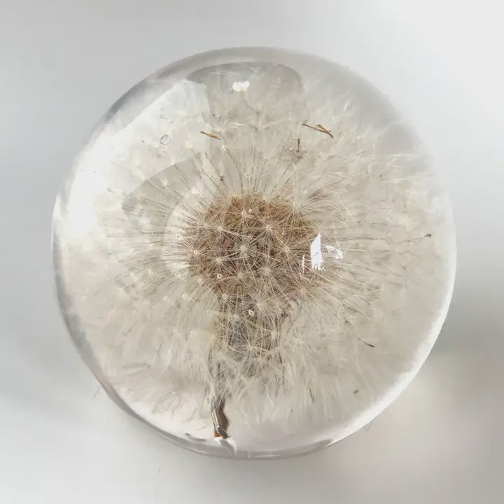 Dandelion Paperweight