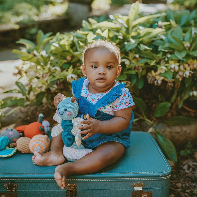 Crocheted Winged Dragonfly Rattle