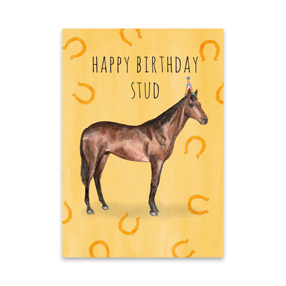Happy Birthday Stud