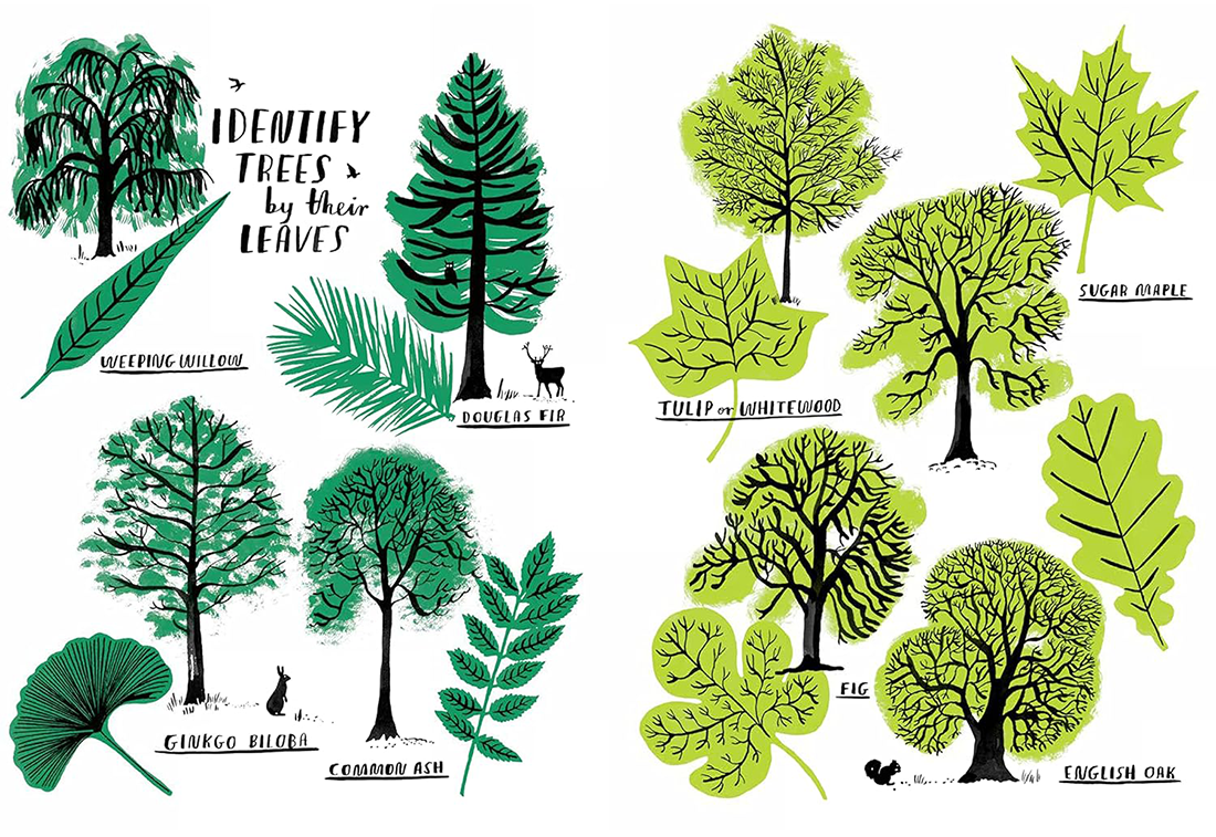Hello Nature Activity Book