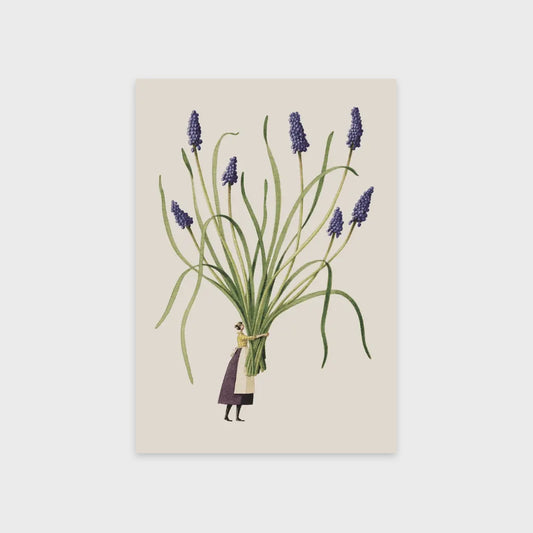 Muscari - Card