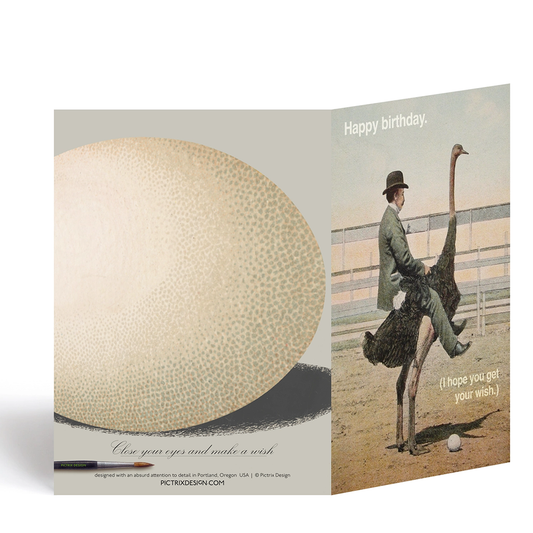 Ostrich Make a Wish Birthday Card