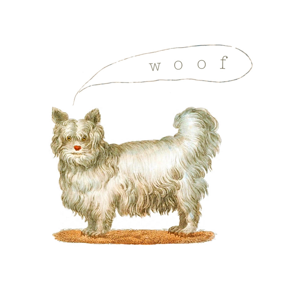 Woof Dog Card