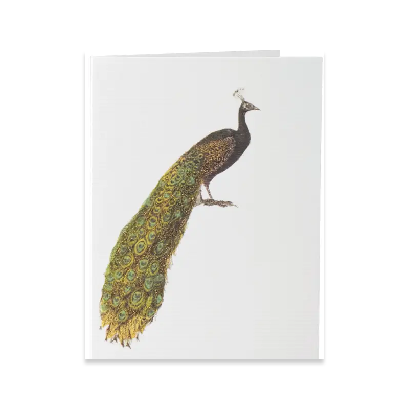 Peacock Greeting Card