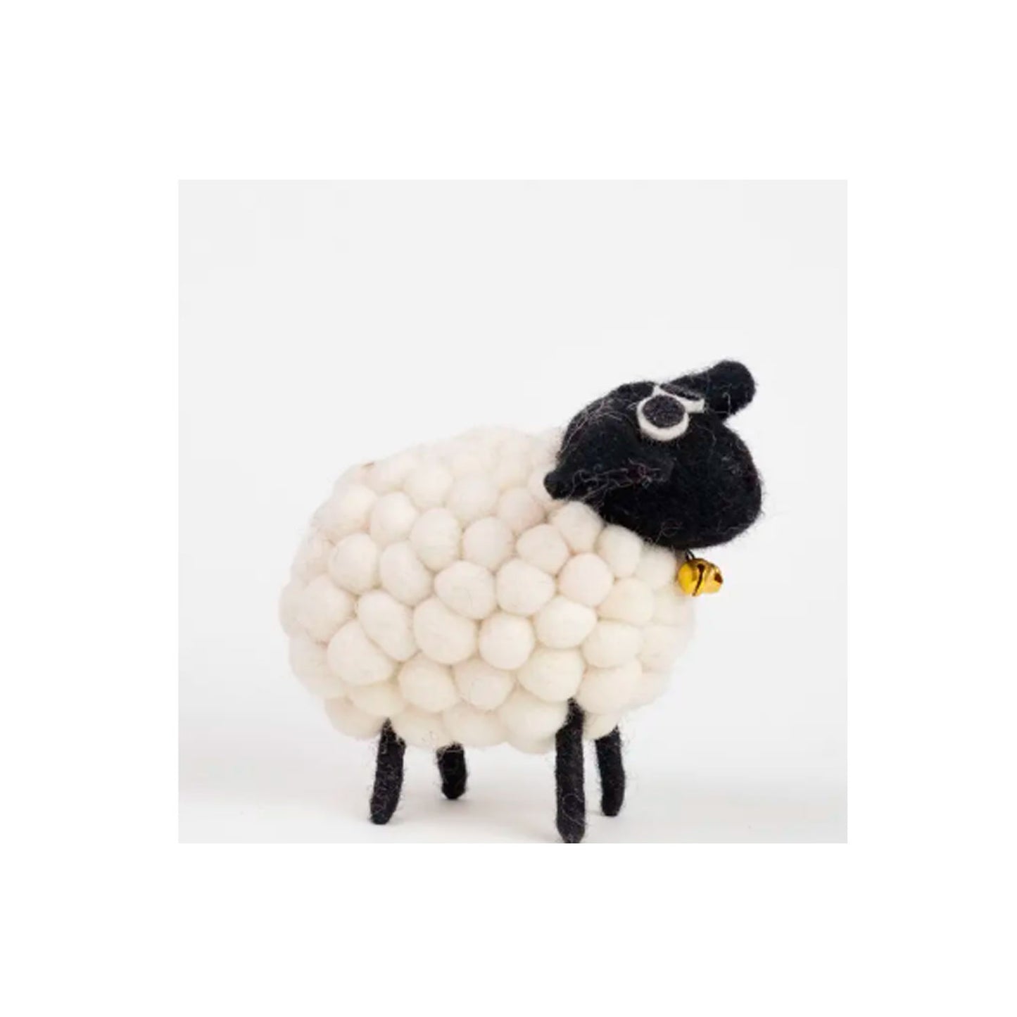 Black and White Sheep