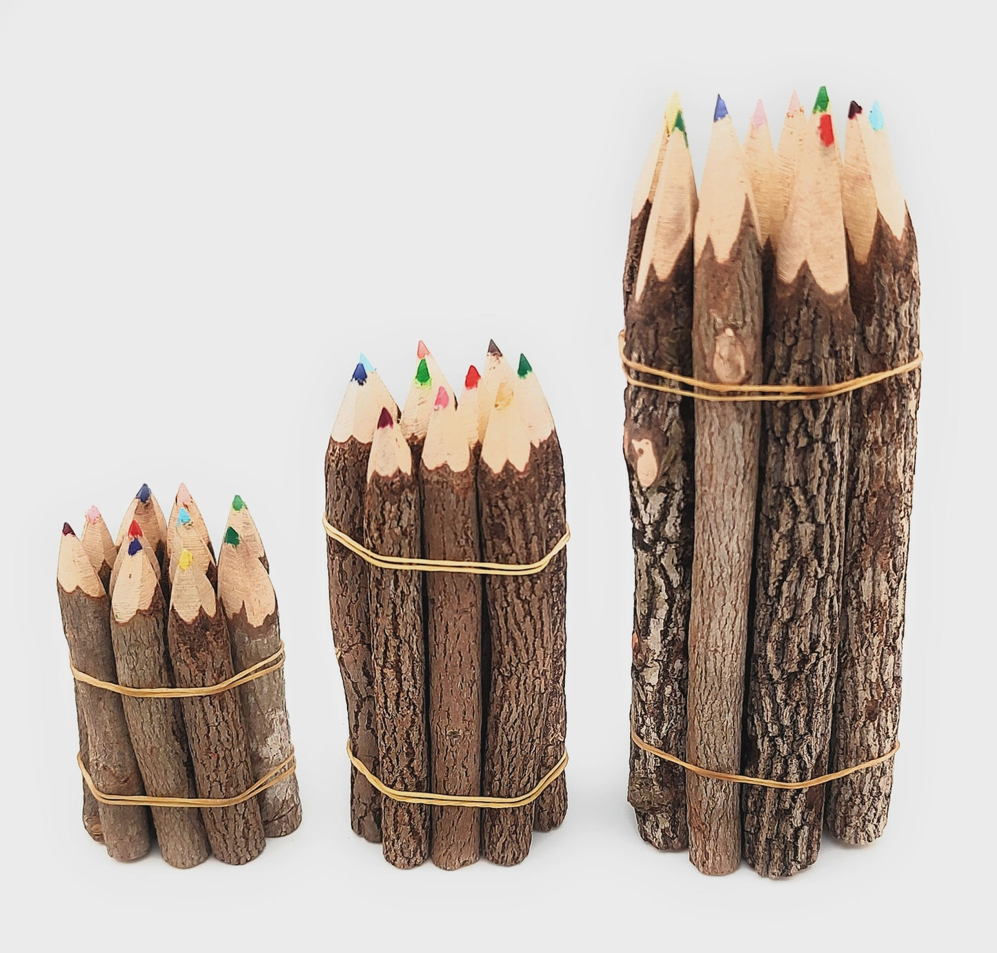 Tamarind Branch Colored Pencils