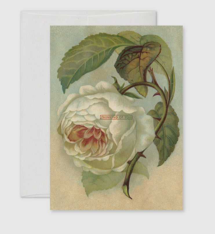 Thinking of You - Peony Greeting Card