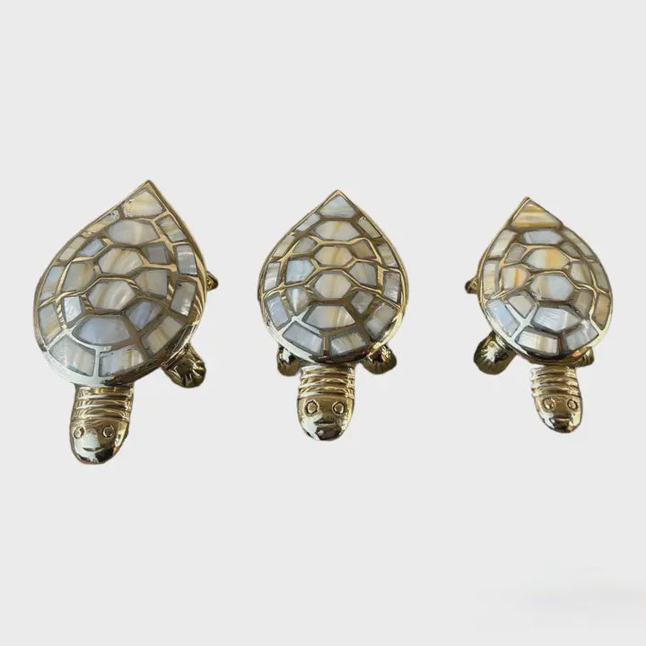 Turtle Box