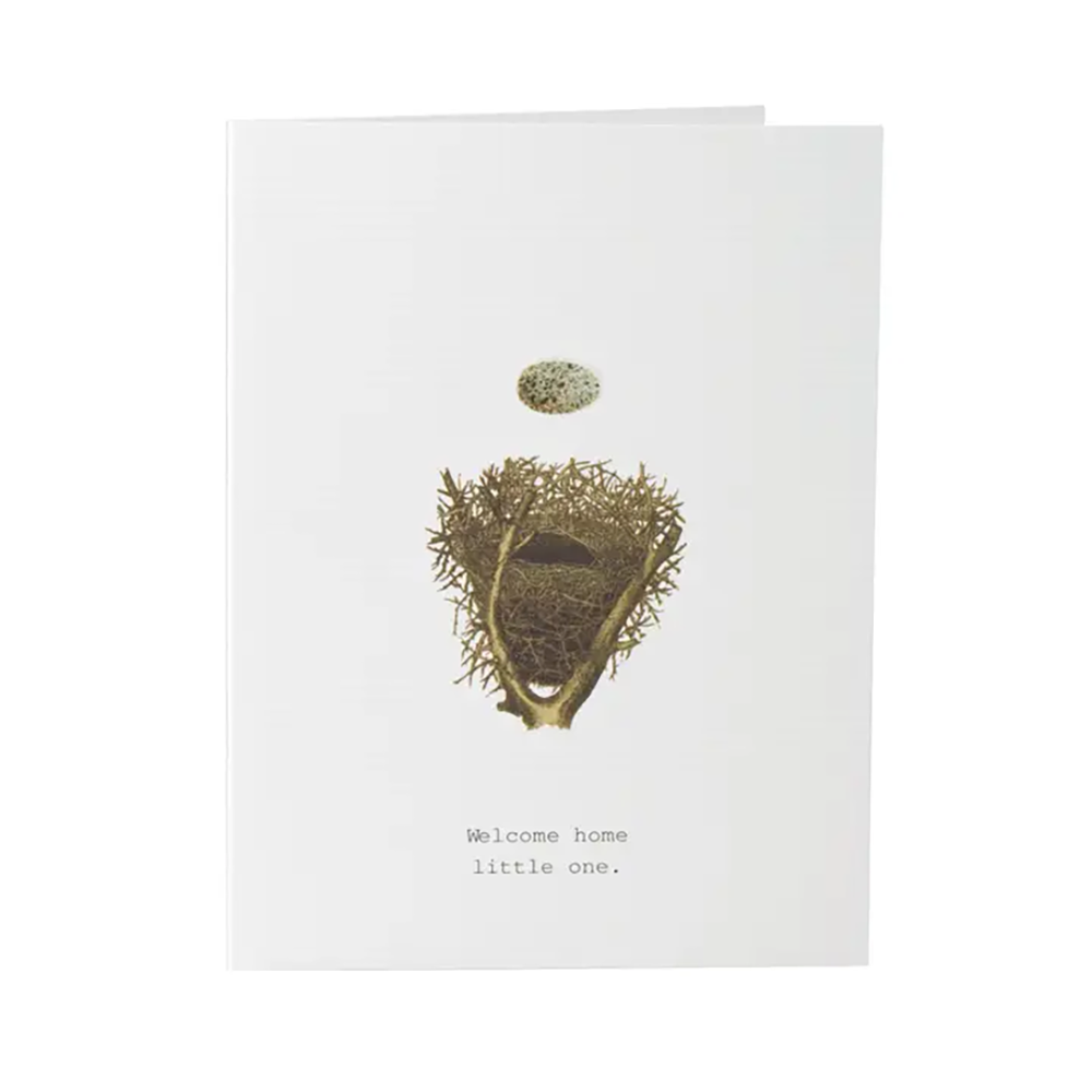 Welcome Home Little One Greeting Card
