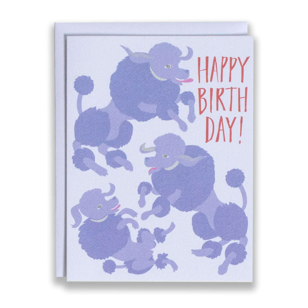 Birthday Poodles Card
