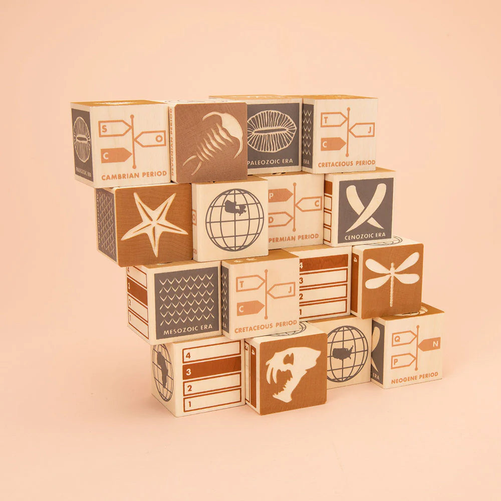 Fossil Blocks