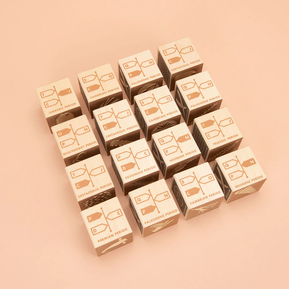 Fossil Blocks