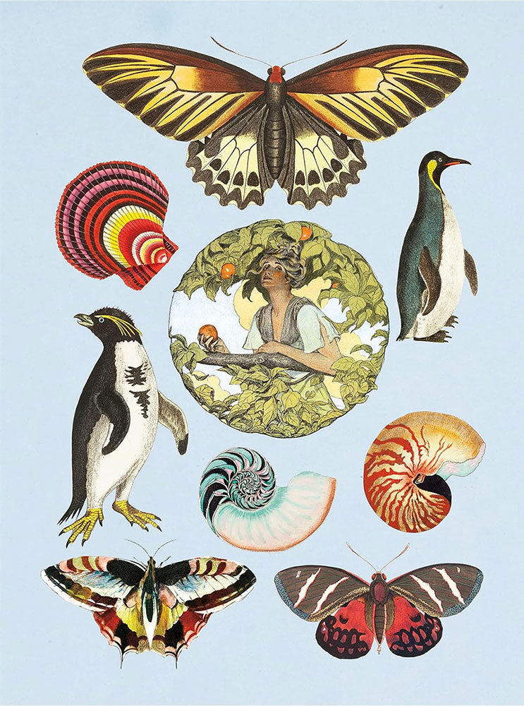 Antiquarian Sticker Book