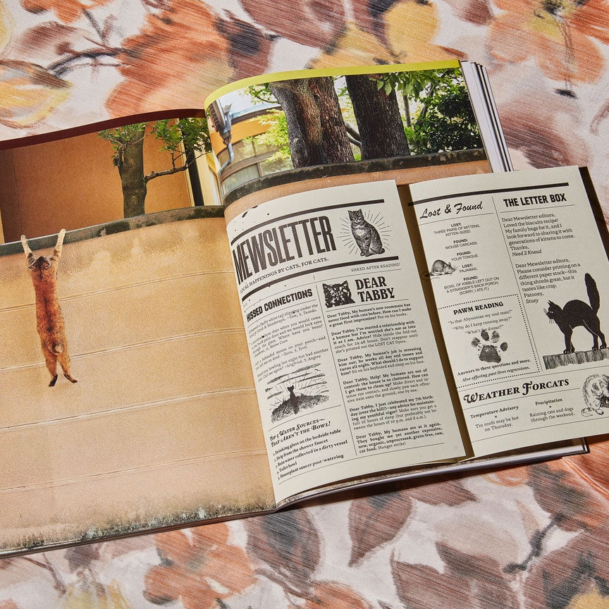 Catnip Magazine