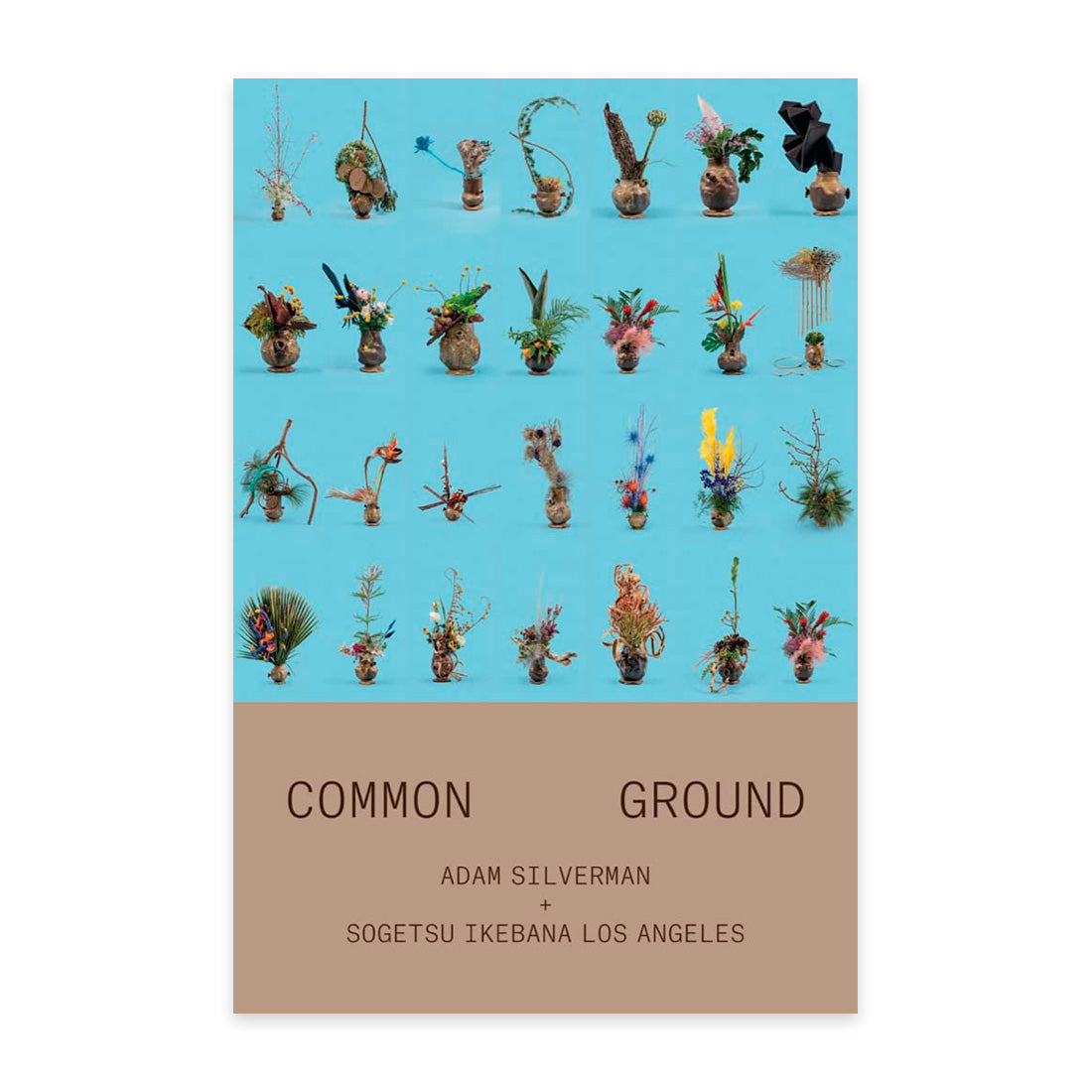 Adam Silverman - Common Ground