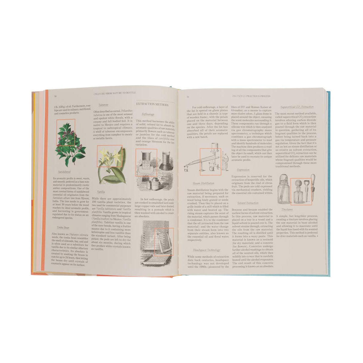 The Essence: Discovering the World of Scent, Perfume and Fragrance