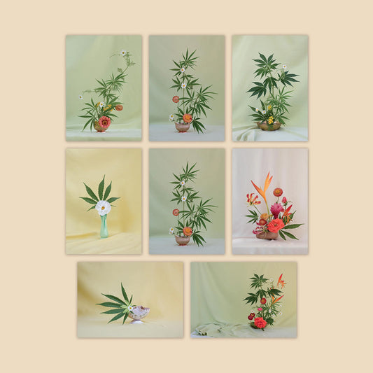Weed Ikebana Postcard Set