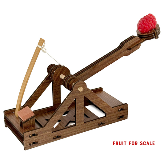 Mini Catapult to Build!