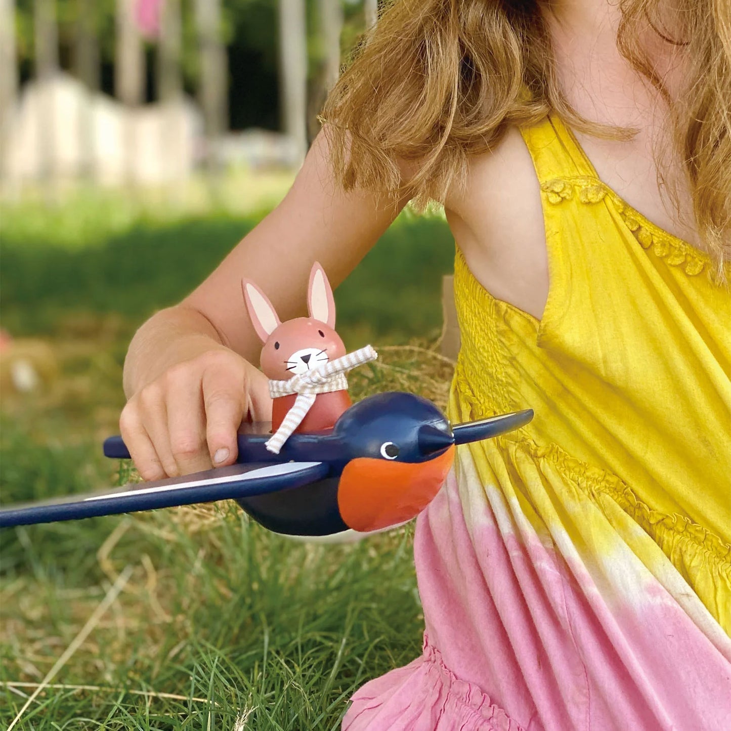 Swifty Bird Toy