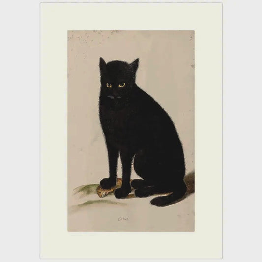 Black Cat Stare - Card