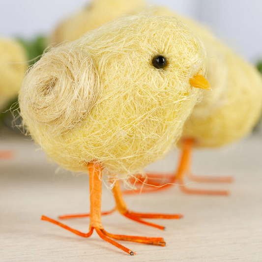 Baby Chicks