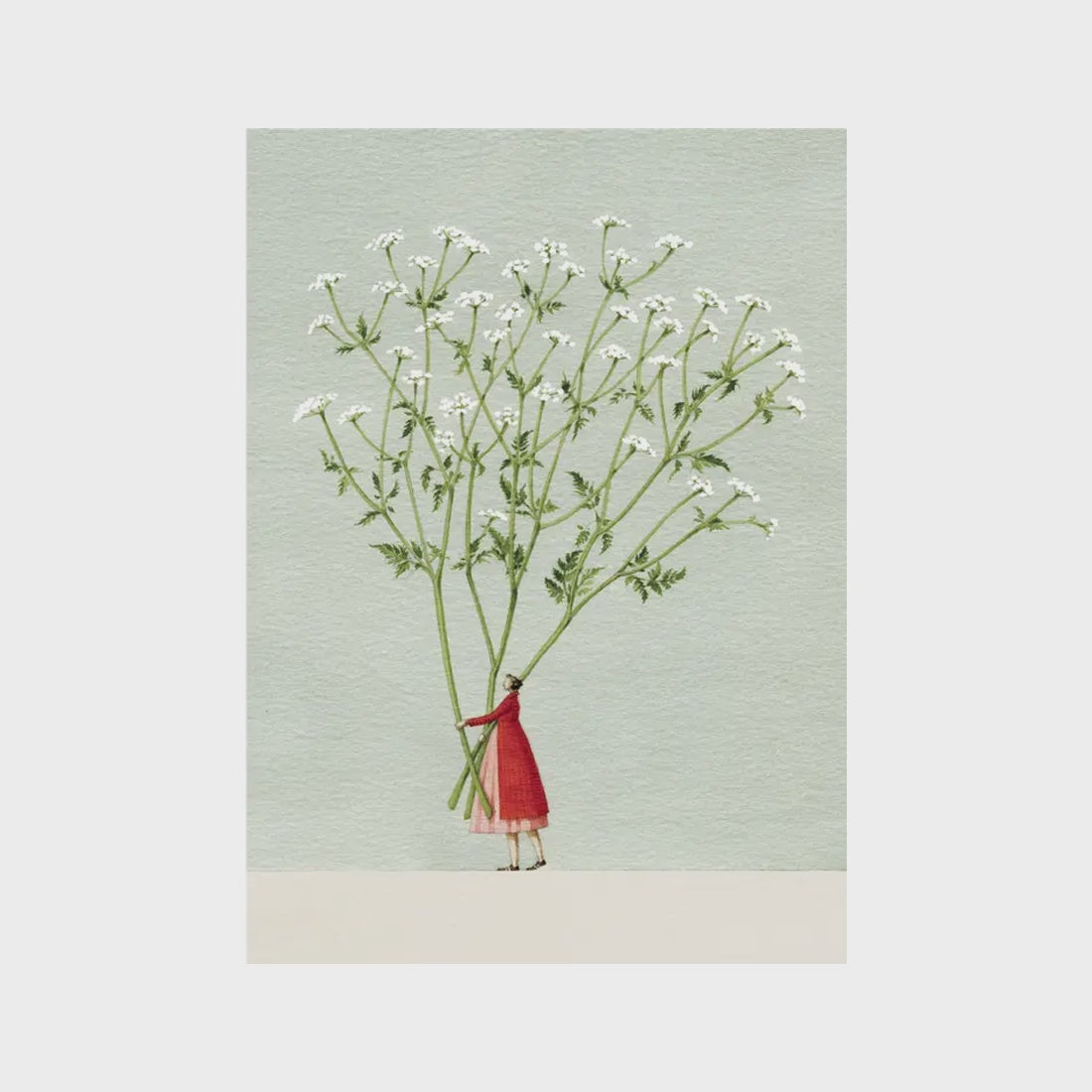 Cow Parsley Card