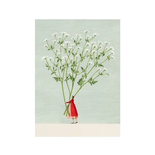 Cow Parsley Card