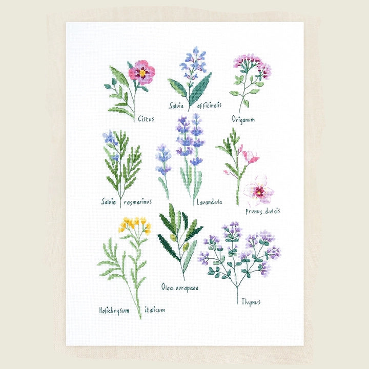 Designer Cross Stitch Kit - Herbs