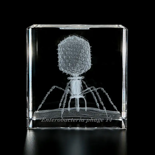 Sola Microcube - Enterobacteria Phage T4