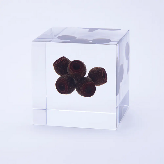 Sola cube - Eucalyptus