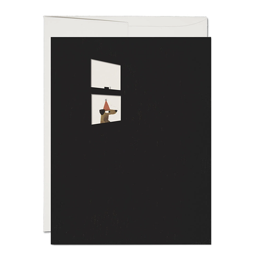 Everyone Is Excited! Birthday Card