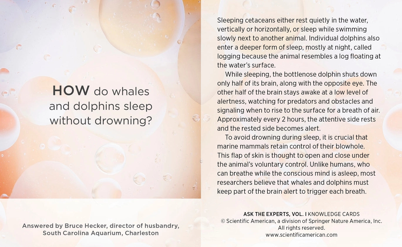 Mind-Blowing Answers To Science Questions