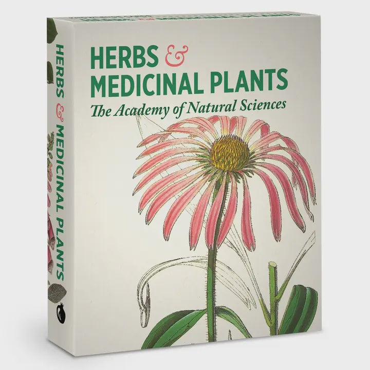 Herbs and Medicinal Plants