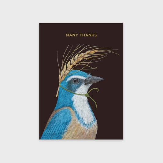 Many Thanks Scrub Jay - Card