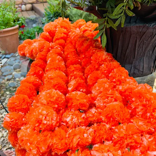 Marigold Garlands