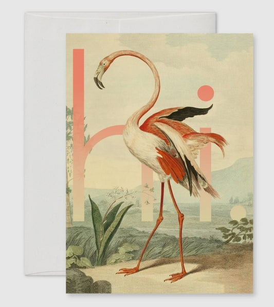 oh hi! - Flamingo Greeting Card