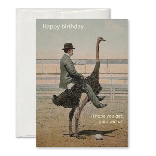 Ostrich Make a Wish Birthday Card