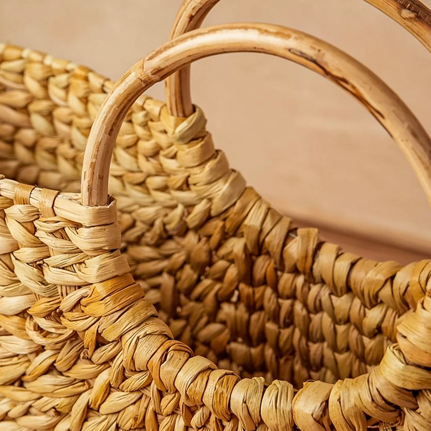 Circle Handle Palm Tote