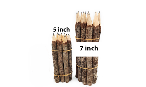 Tamarind Branch Pencils - Singles