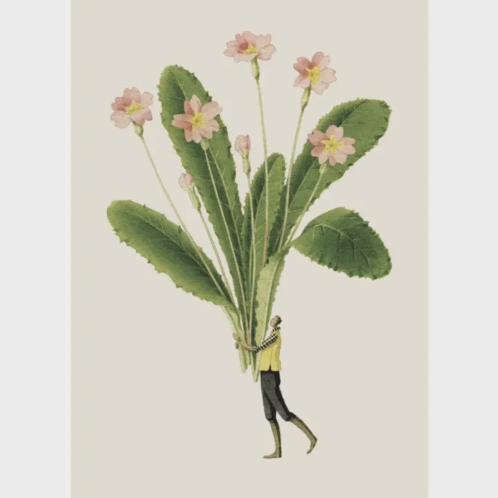 Primroses Card