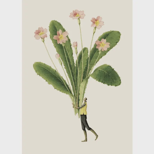 Primroses Card