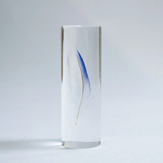 Common Parakeet Blue Feather