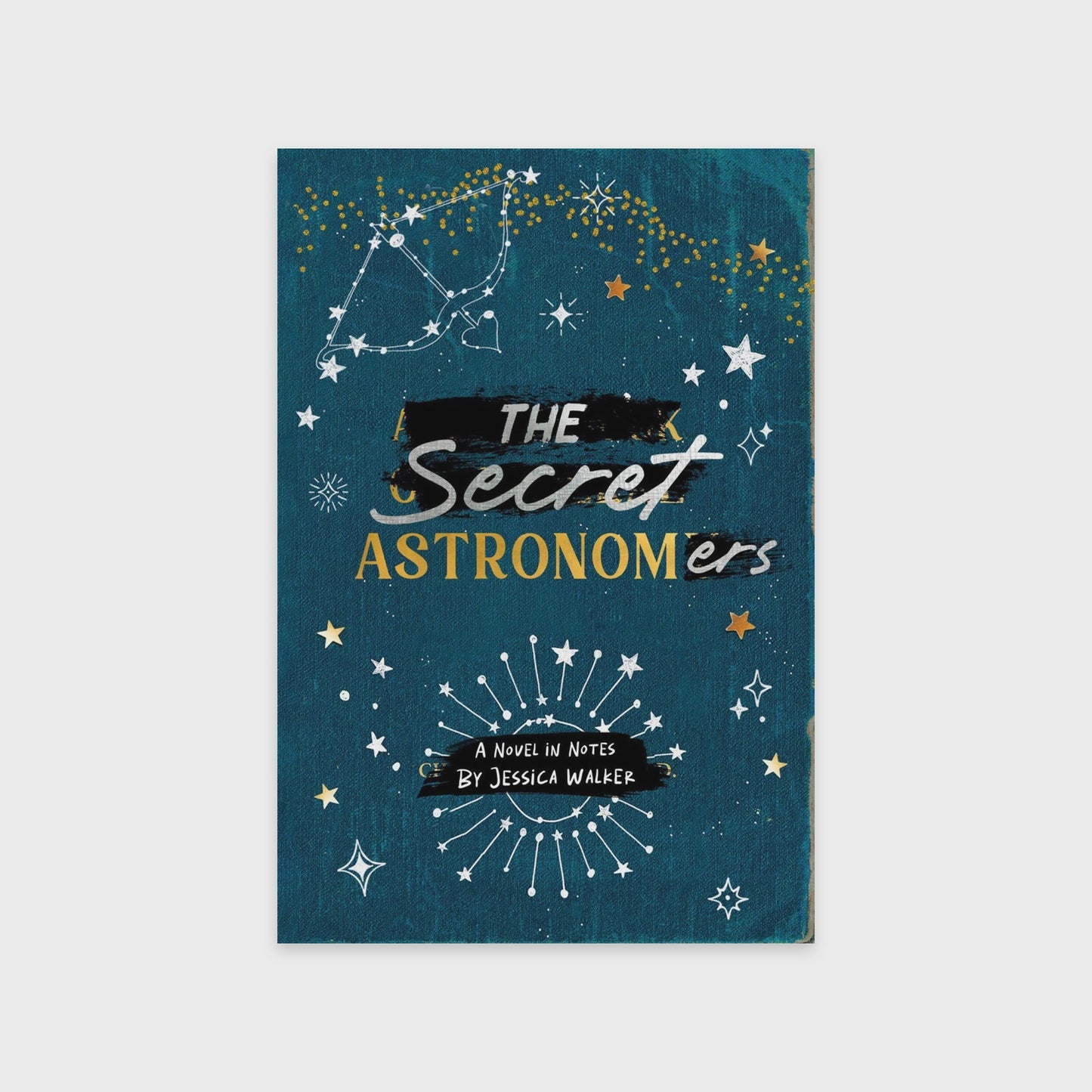The Secret Astronomers
