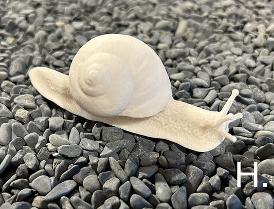 Porcelain Snail by FHAR Studio - H