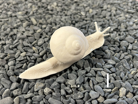 Porcelain Snail by FHAR Studio - I