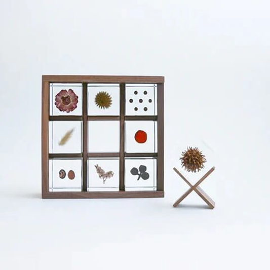 Sola cube - Display Boxes