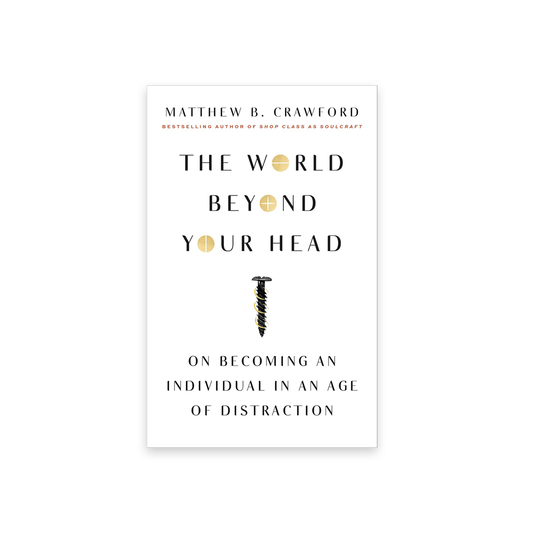 The World Beyond Your Head