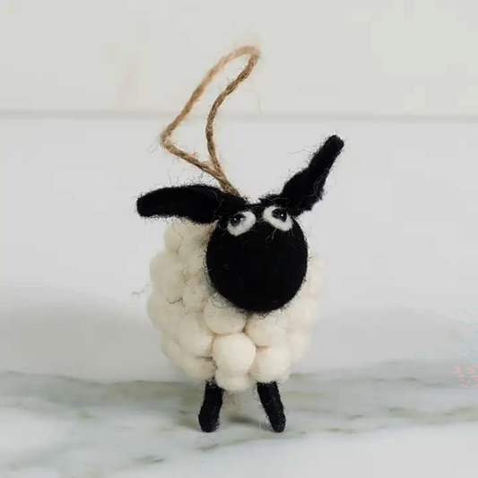Black and White Sheep