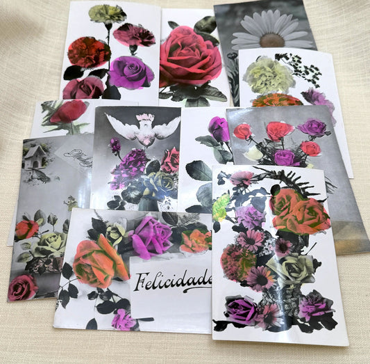 Hand-tinted Vintage Flower Photo-Postcards
